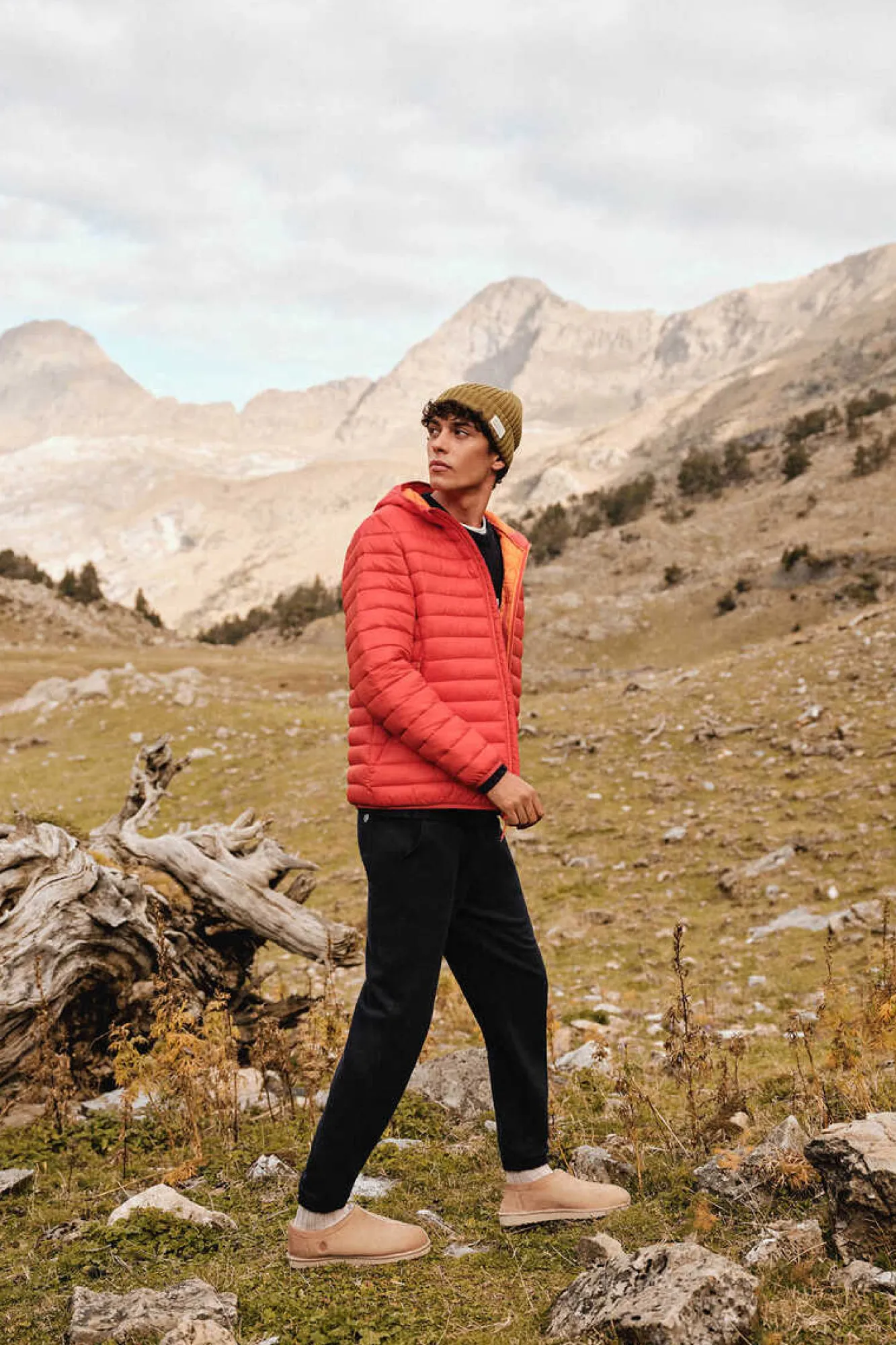 Springfield Blazer Acolchoado Capuz Laranja Sale