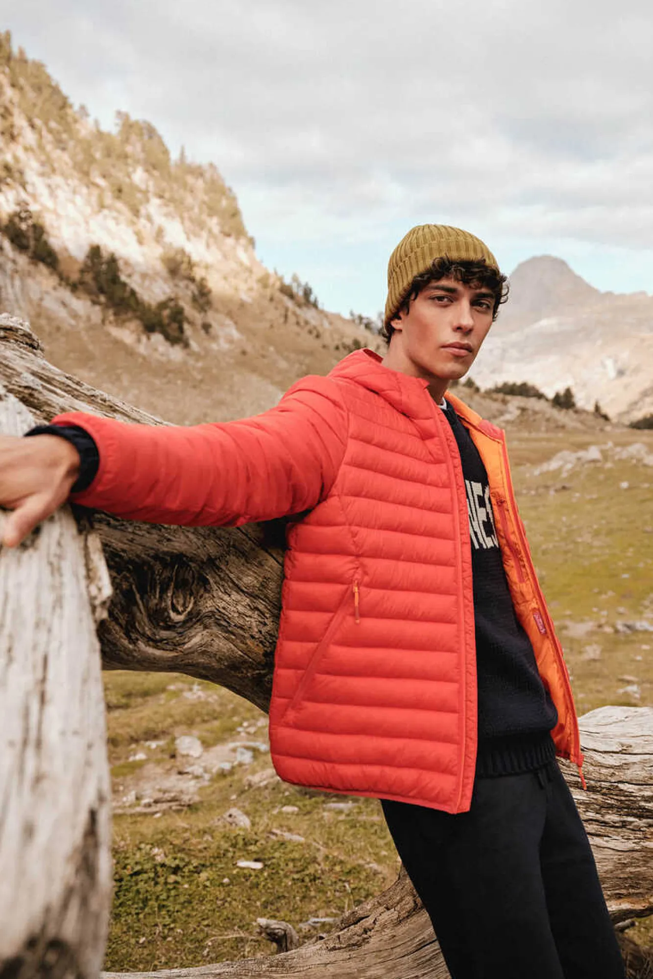 Springfield Blazer Acolchoado Capuz Laranja Sale