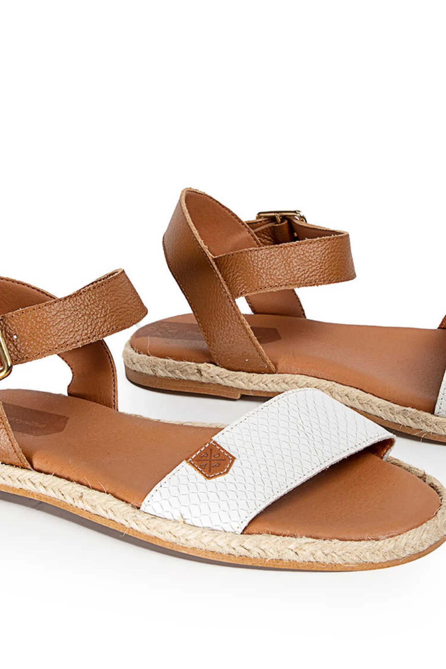 Popa Alpercatas-Bucegi Snake