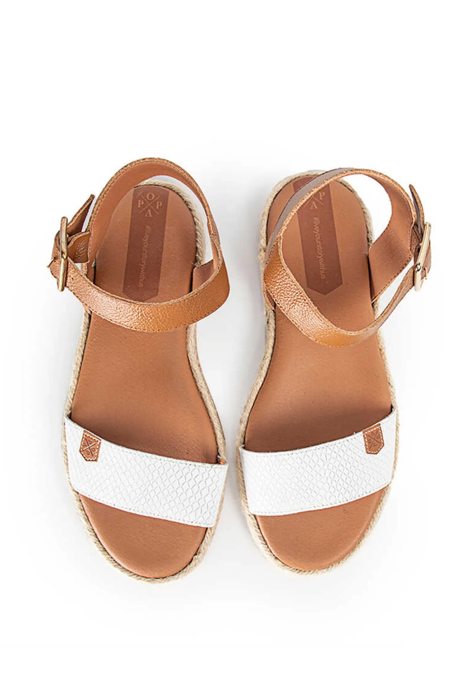 Popa Alpercatas-Bucegi Snake