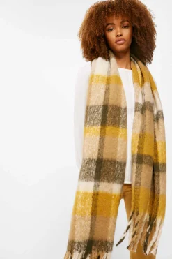 Springfield Cachecois-Cachecol Xadrez