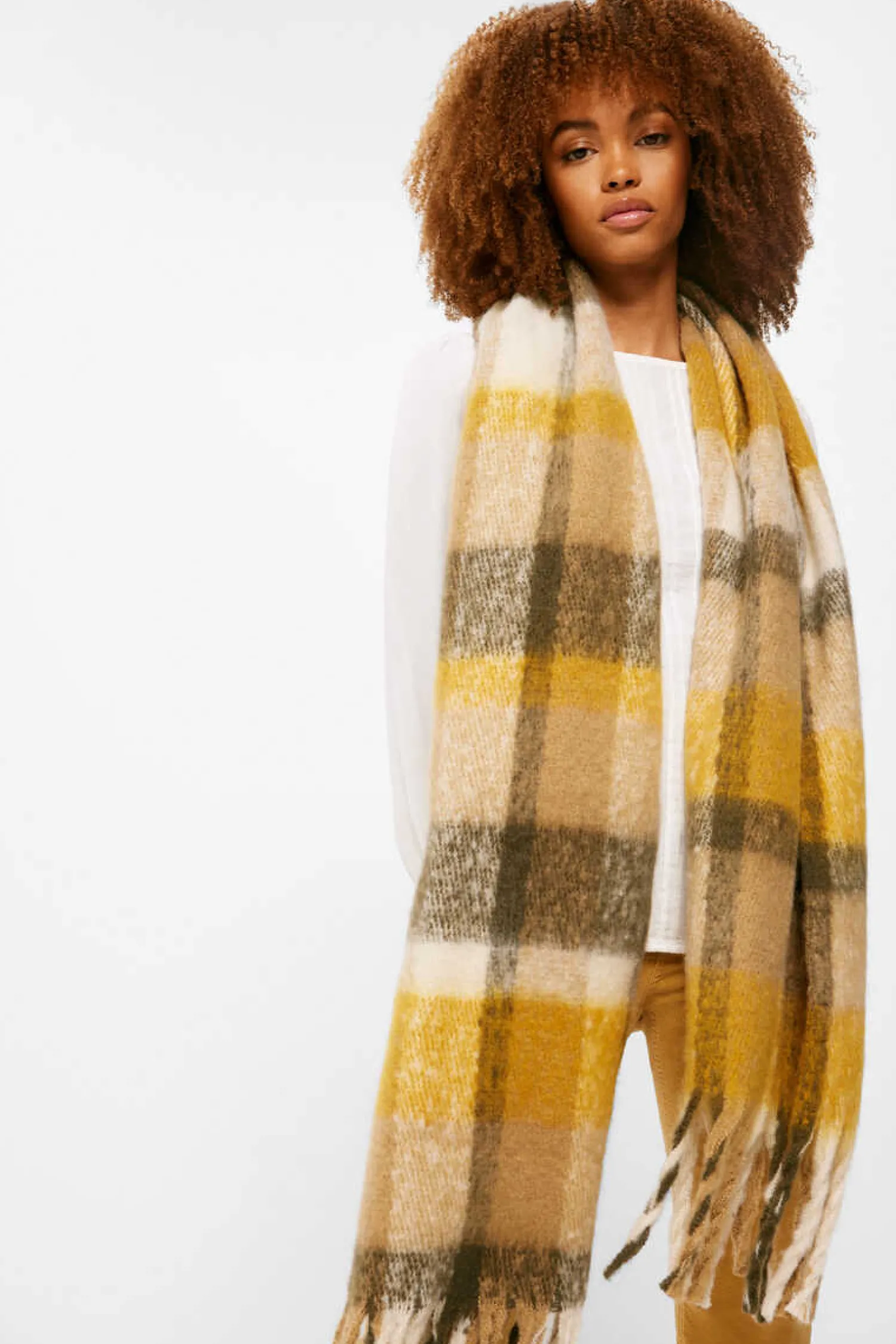 Springfield Cachecois-Cachecol Xadrez