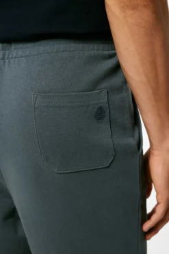 Springfield Calcas Jogger Acqua Online