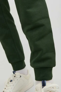 Jack & Jones Calcas Jogger De Desporto Verde Discount