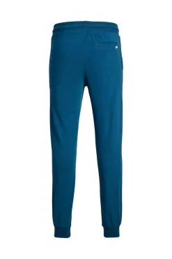 Jack & Jones Calcas Jogger De Desporto Azul Sale