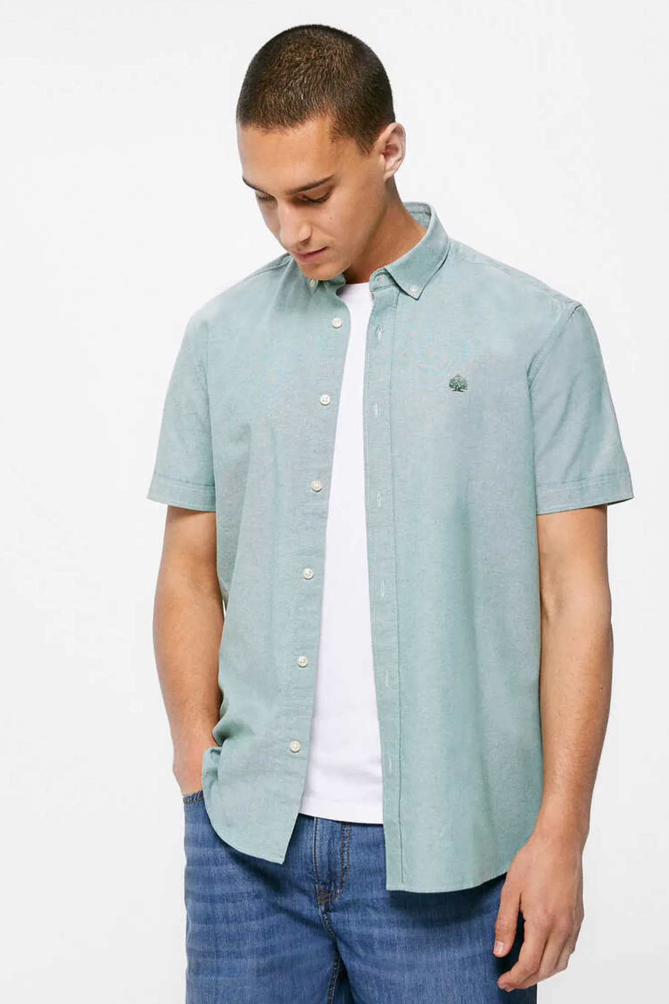 Springfield Camisa Pinpoint Verde Clearance