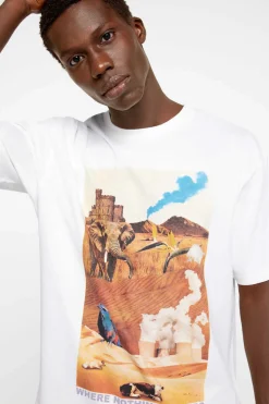 Springfield Camisola Fotografica Cru Sale