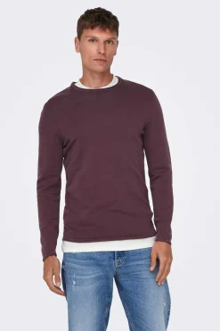 Only & Sons Camisola Gola Redonda Castanho Best