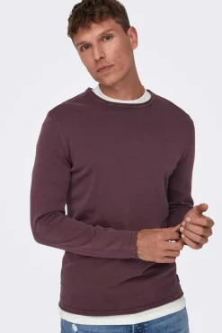 Only & Sons Camisola Gola Redonda Castanho Best