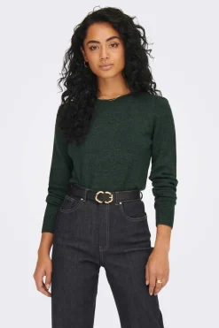 JDY Sueteres E Cardigans-Camisola Manga Comprida E Gola Redonda