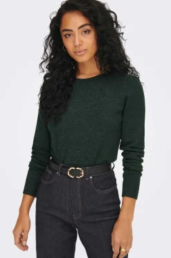 JDY Sueteres E Cardigans-Camisola Manga Comprida E Gola Redonda