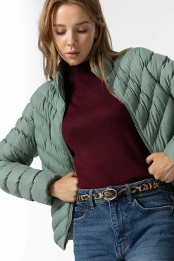 Tiffosi Blusoes E Casacos-Casaco Acolchoado