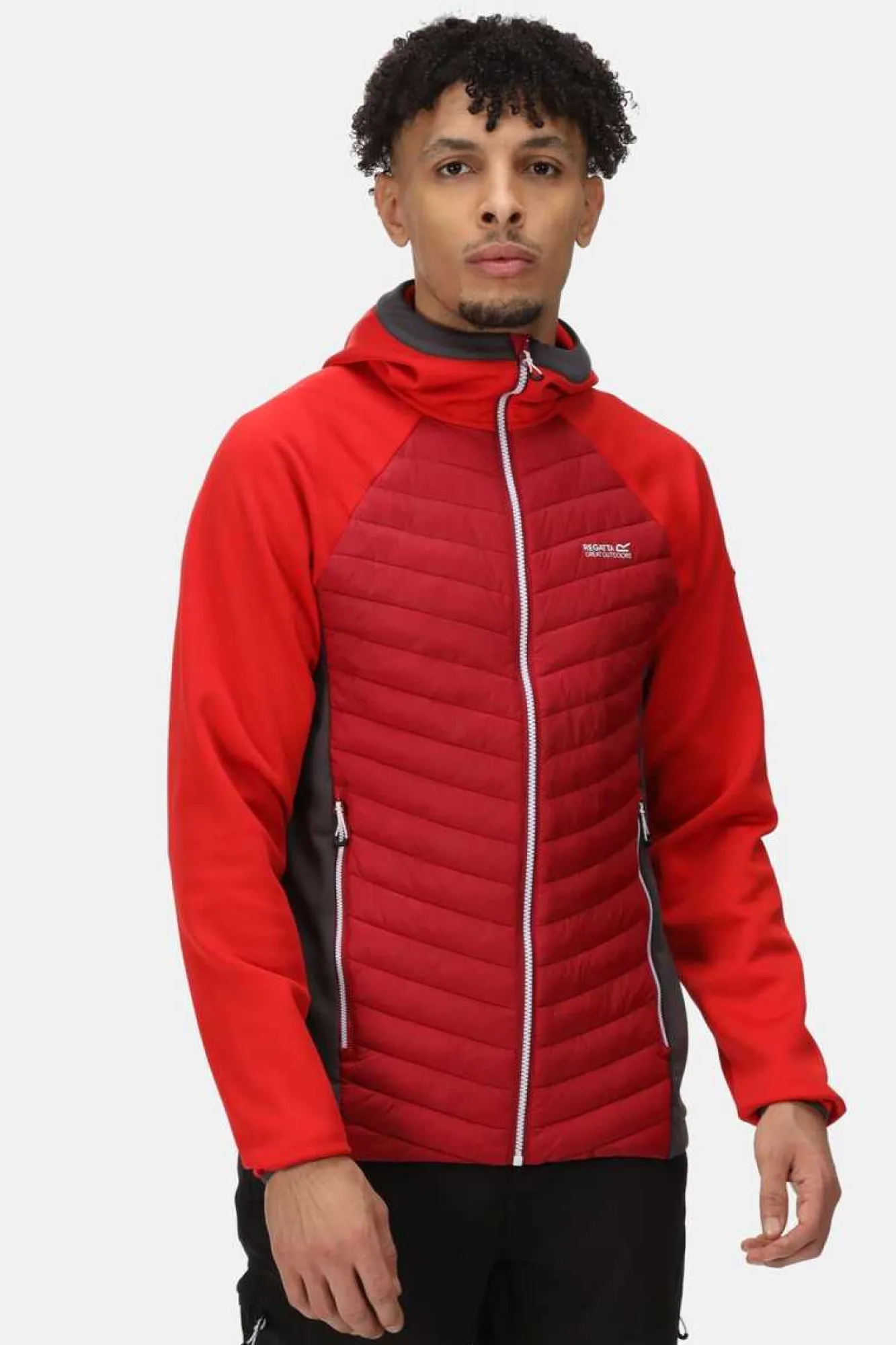 Regatta Casaco Acolchoado Anderson Vii Vermelho Real Clearance