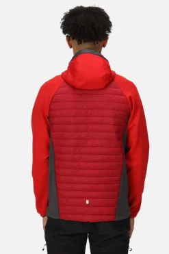 Regatta Casaco Acolchoado Anderson Vii Vermelho Real Clearance