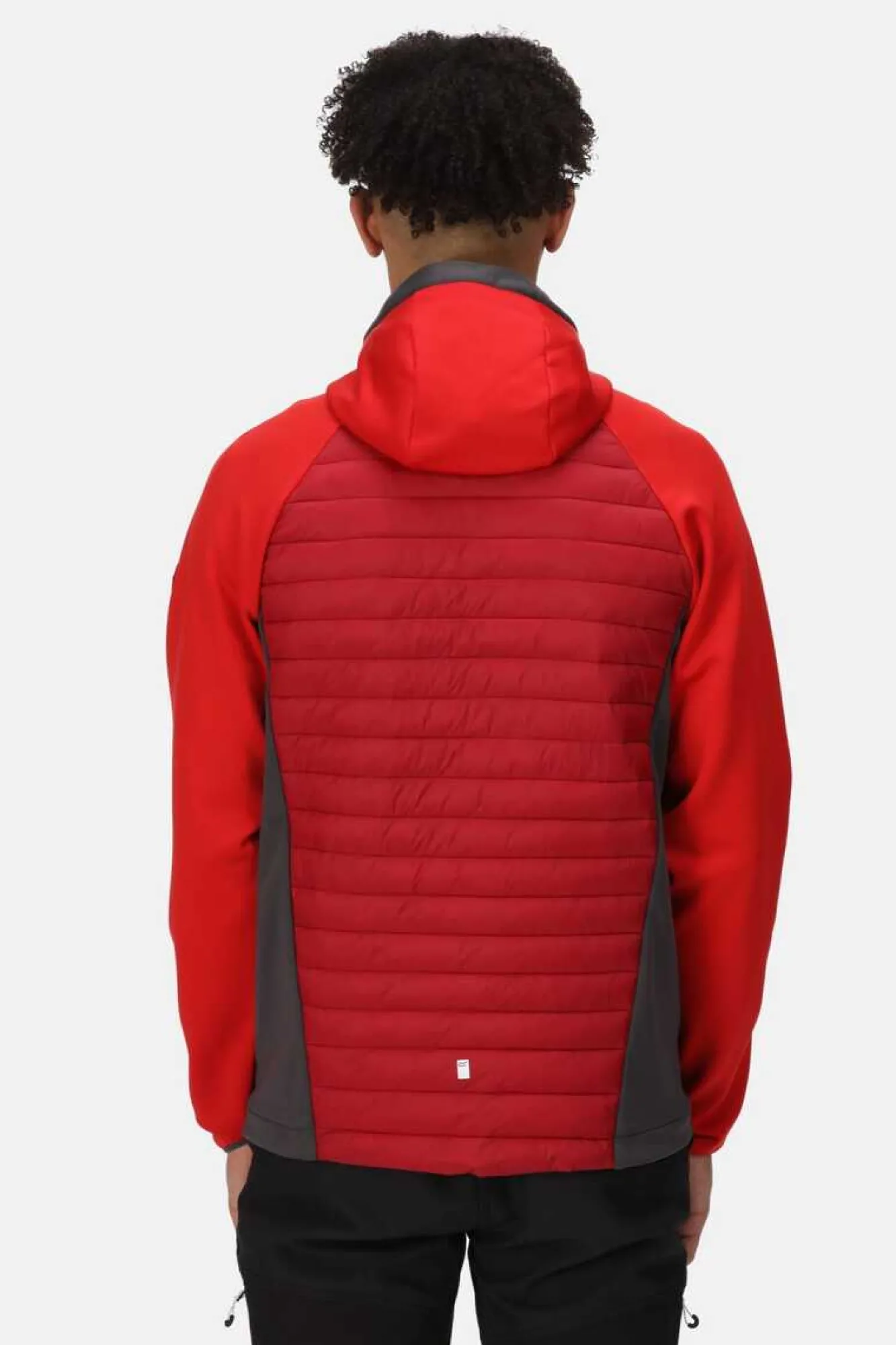 Regatta Casaco Acolchoado Anderson Vii Vermelho Real Clearance