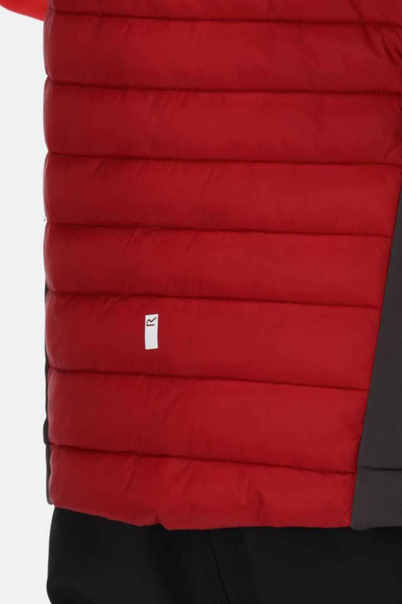 Regatta Casaco Acolchoado Anderson Vii Vermelho Real Clearance