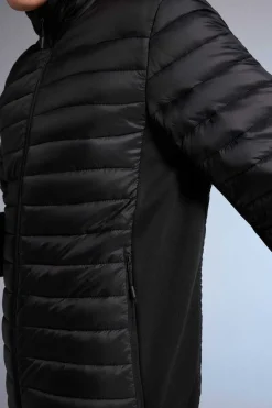 Springfield Casaco Acolchoado Combinado Preto Online