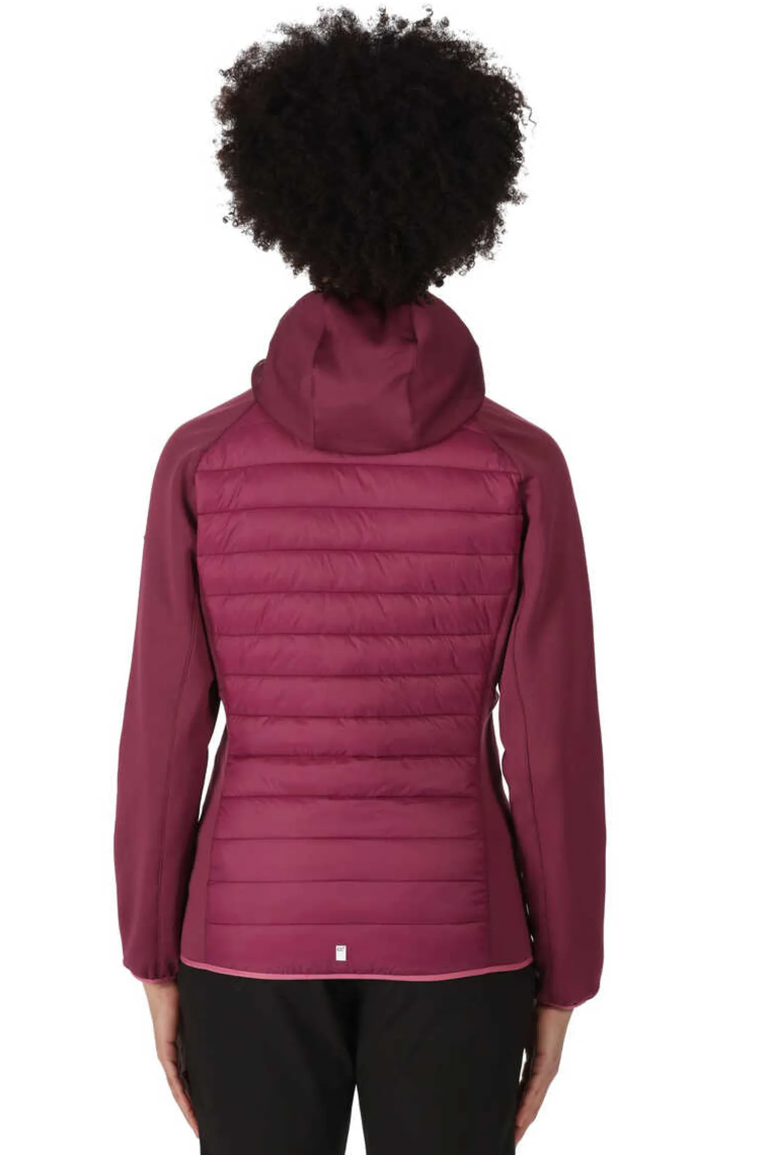 Regatta Outdoor-Casaco Anderson Vii