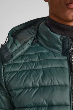 Pepe Jeans Casaco De Penas Acolchoado Verde Discount