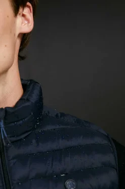 Springfield Colete Acolchoado Azul Online