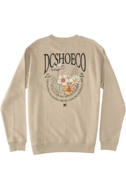 DC Shoes Concreteotlr Thz0 Camel Hot