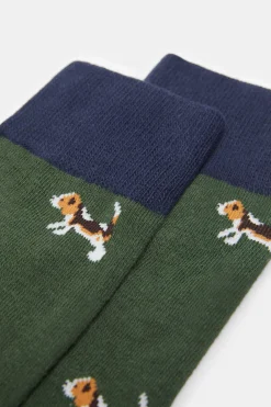 Springfield Meia Caes Cinza Hot