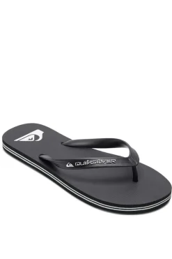 Quiksilver Molokai Core - Chinelos Para Homem Cinzento Best