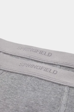 Springfield Pack 2 Cuecas Basicas Algodao Cinza Sale