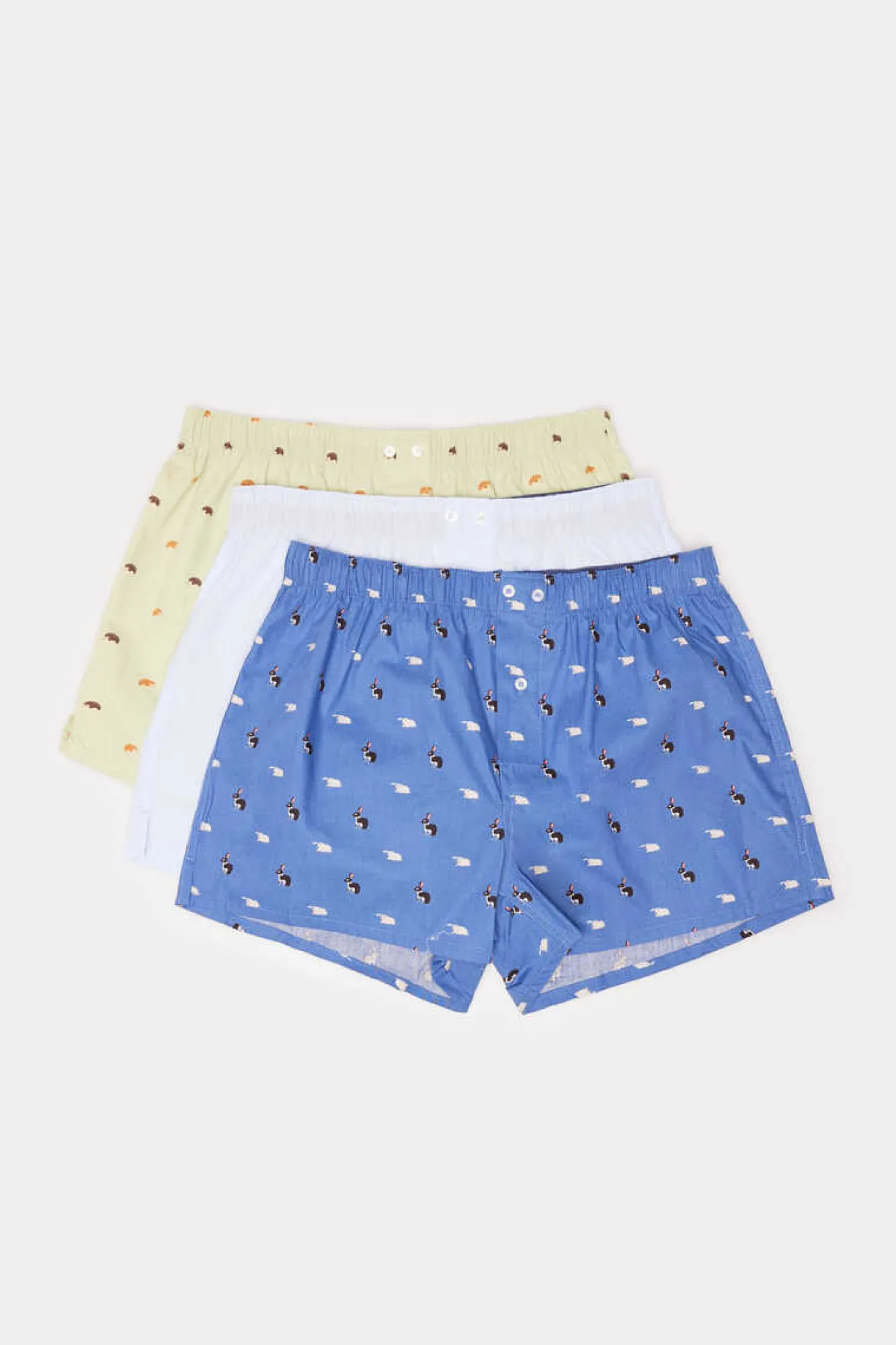 Springfield Pack 3 Cuecas Em Popelina De Algodao Com Animais Azul Aco Sale