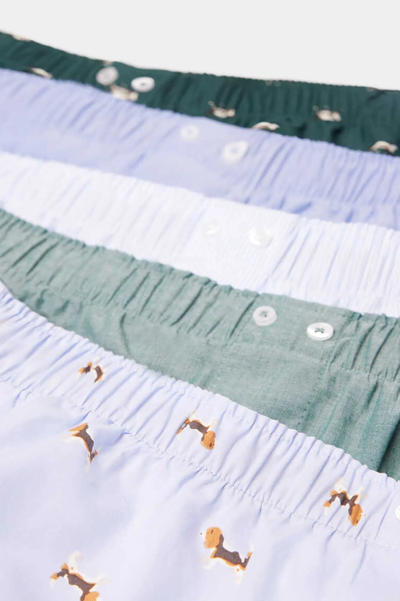 Springfield Pack 3 Cuecas Em Popelina De Algodao, Com Caes E Gatos Verde