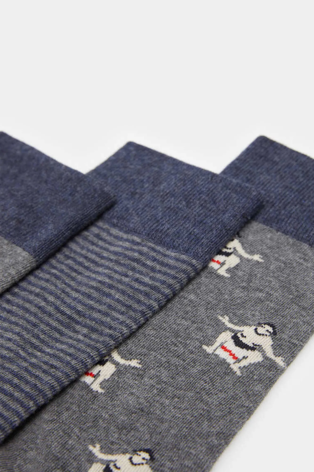 Springfield Pack 3 Meias Sumos Cinza Best