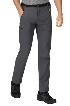 Regatta Pantalon Xert Stretch Iii Cinza Hot