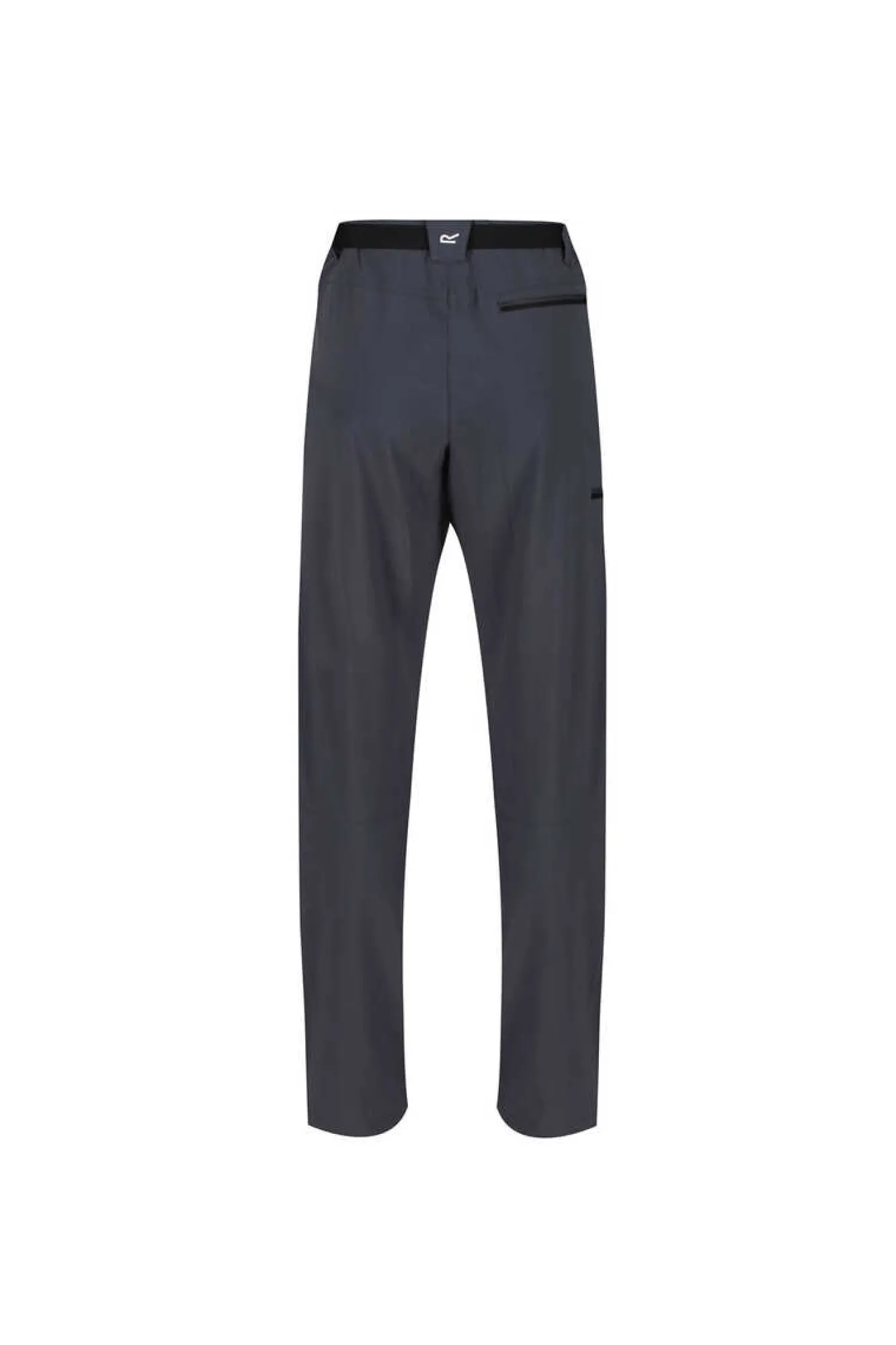 Regatta Pantalon Xert Stretch Iii Cinza Hot