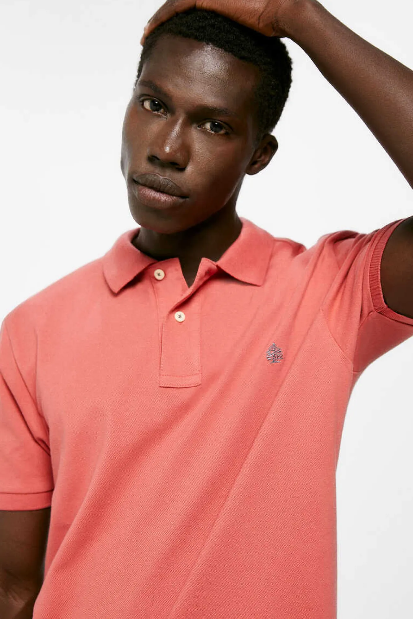 Springfield Polo Pique Basico Oxido New