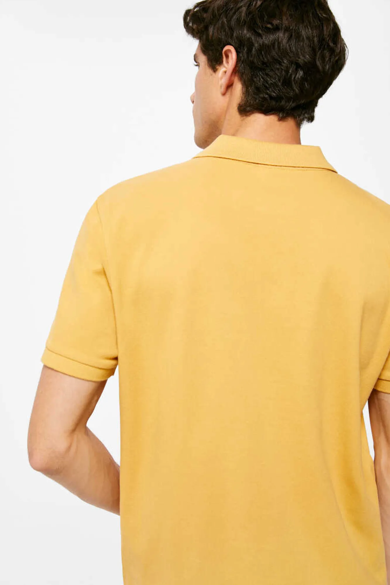 Springfield Polo Pique Basico Camelo