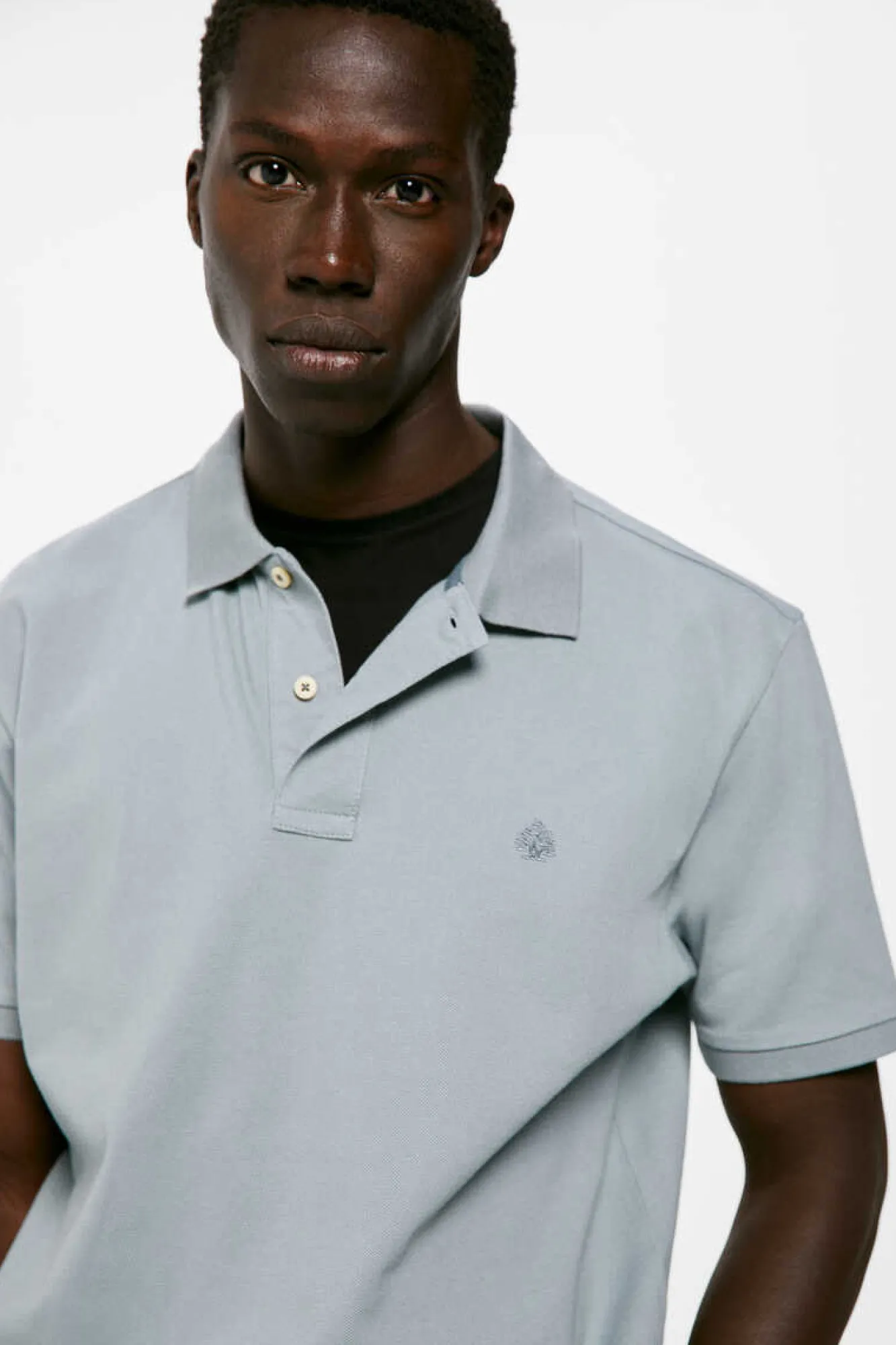 Springfield Polo Pique Basico Blue Online