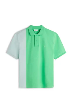 Springfield Polo Pique Contraste Cor Agua Verde Sale