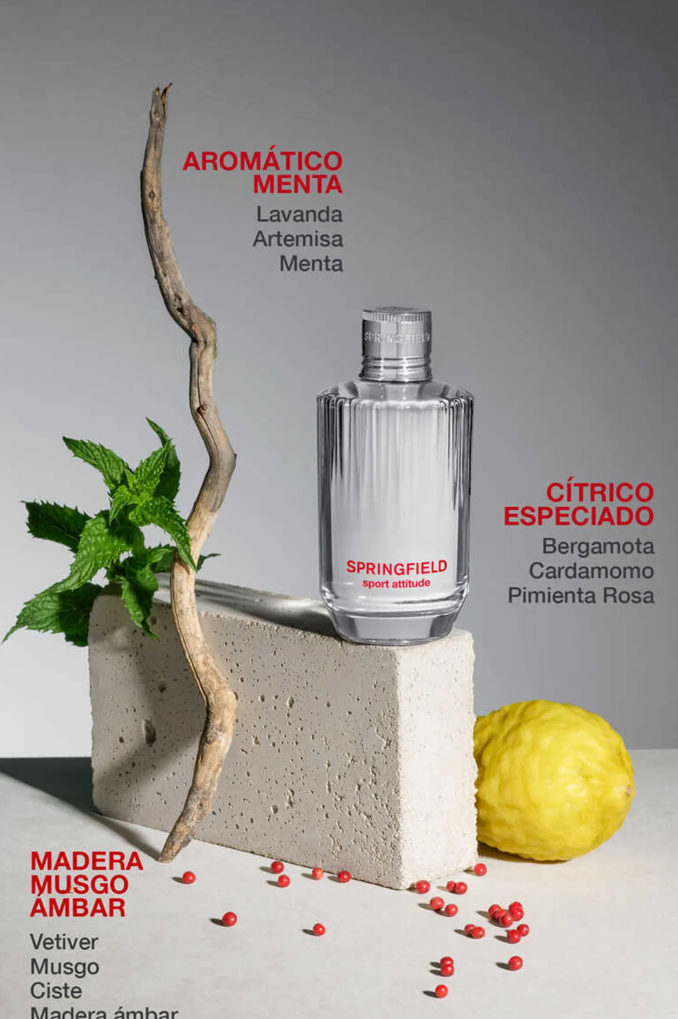 Springfield Sport Attitude Malva Discount