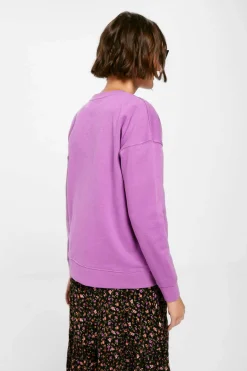 Springfield Sweatshirts-Sweatshirt