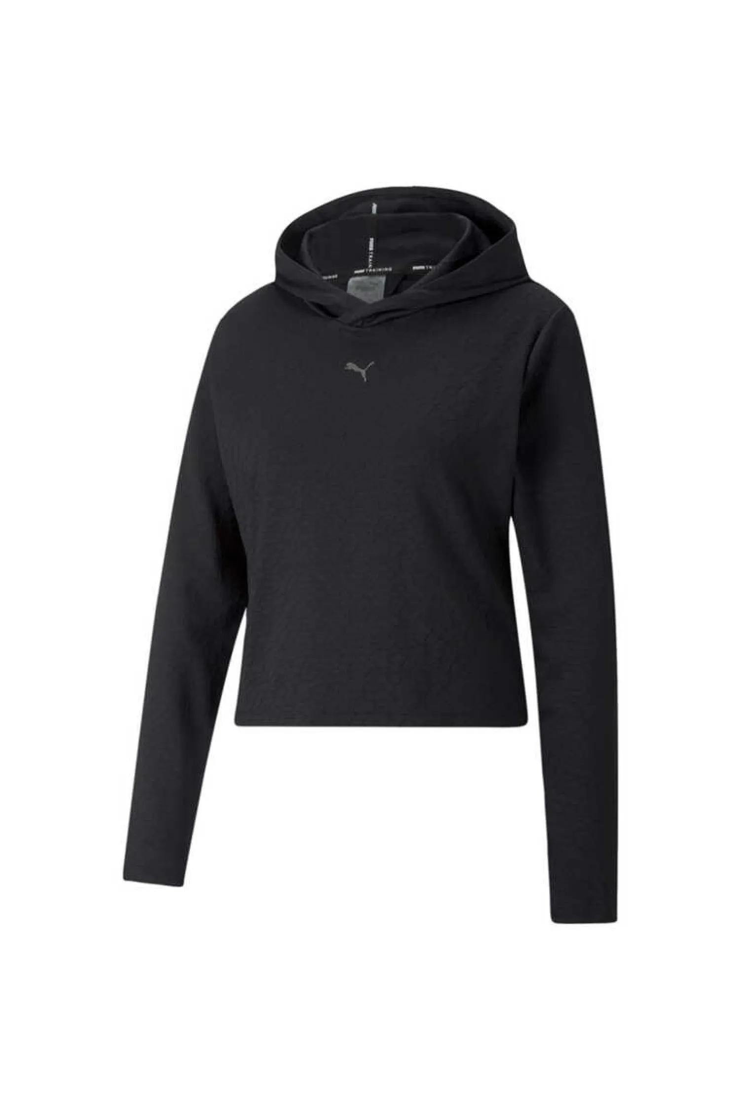 Puma Sweatshirts-Sweatshirt Capuz