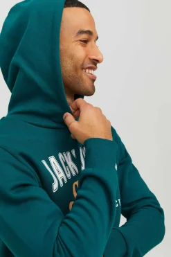 Jack & Jones Sweatshirt Com Capuz Verde Online