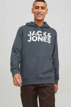 Jack & Jones Sweatshirt Com Capuz Logo Azulado Hot