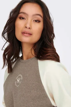 Only Sweatshirts-Sweatshirt Cropped Minilogo