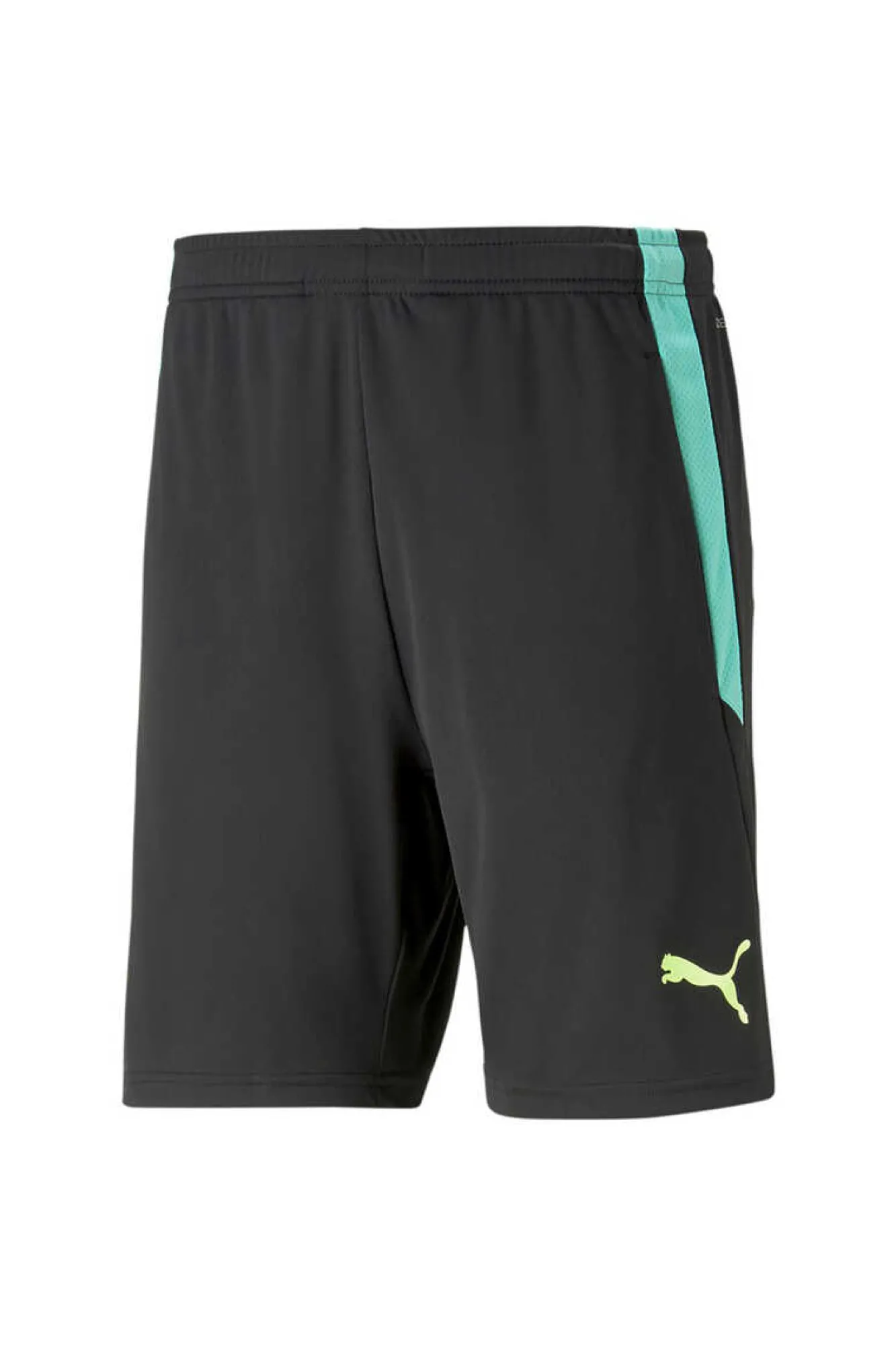Puma Teamliga Training Shorts 2 (Open Pockets) Preto