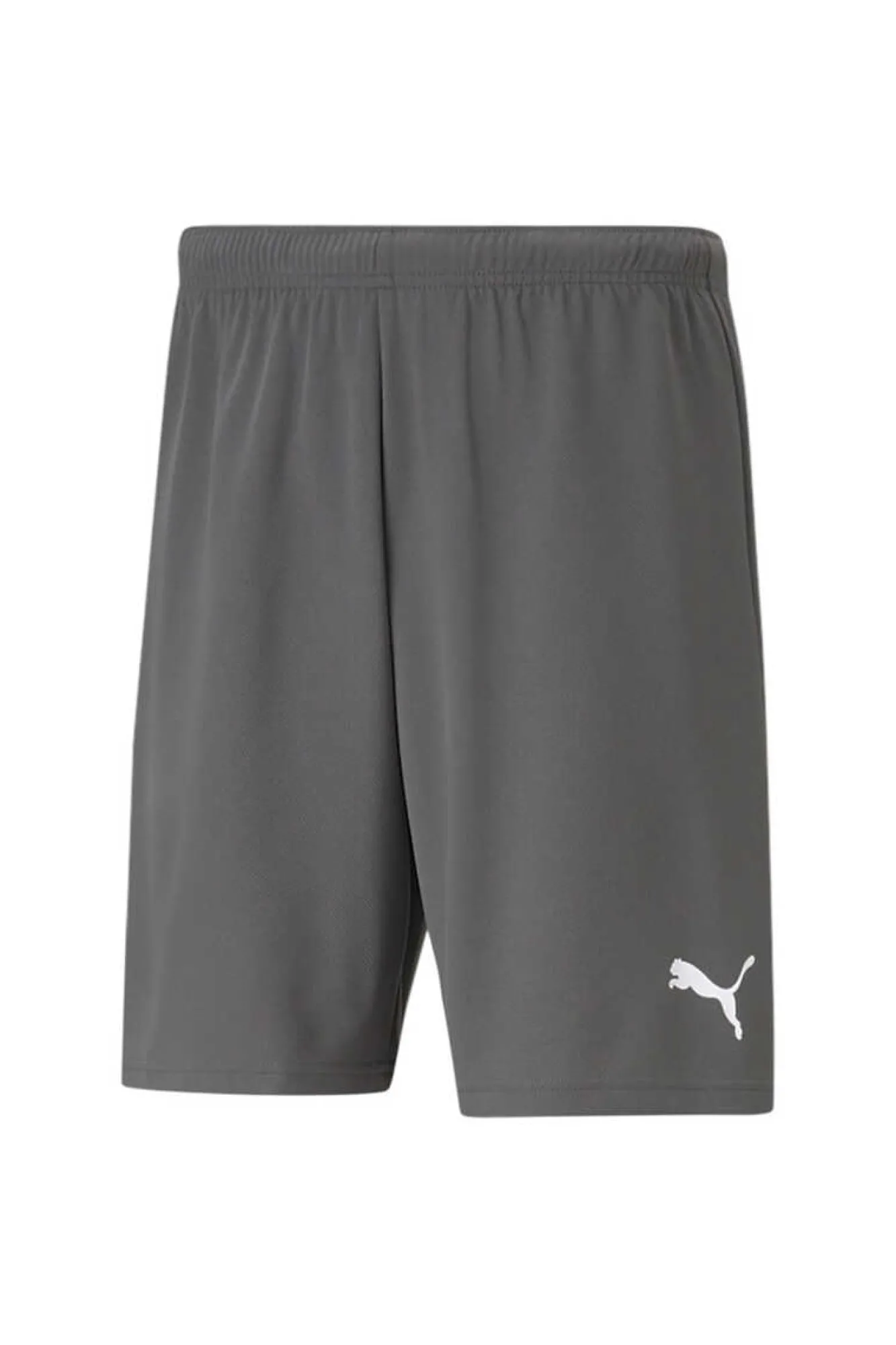 Puma Teamrise Short Cinza Clearance