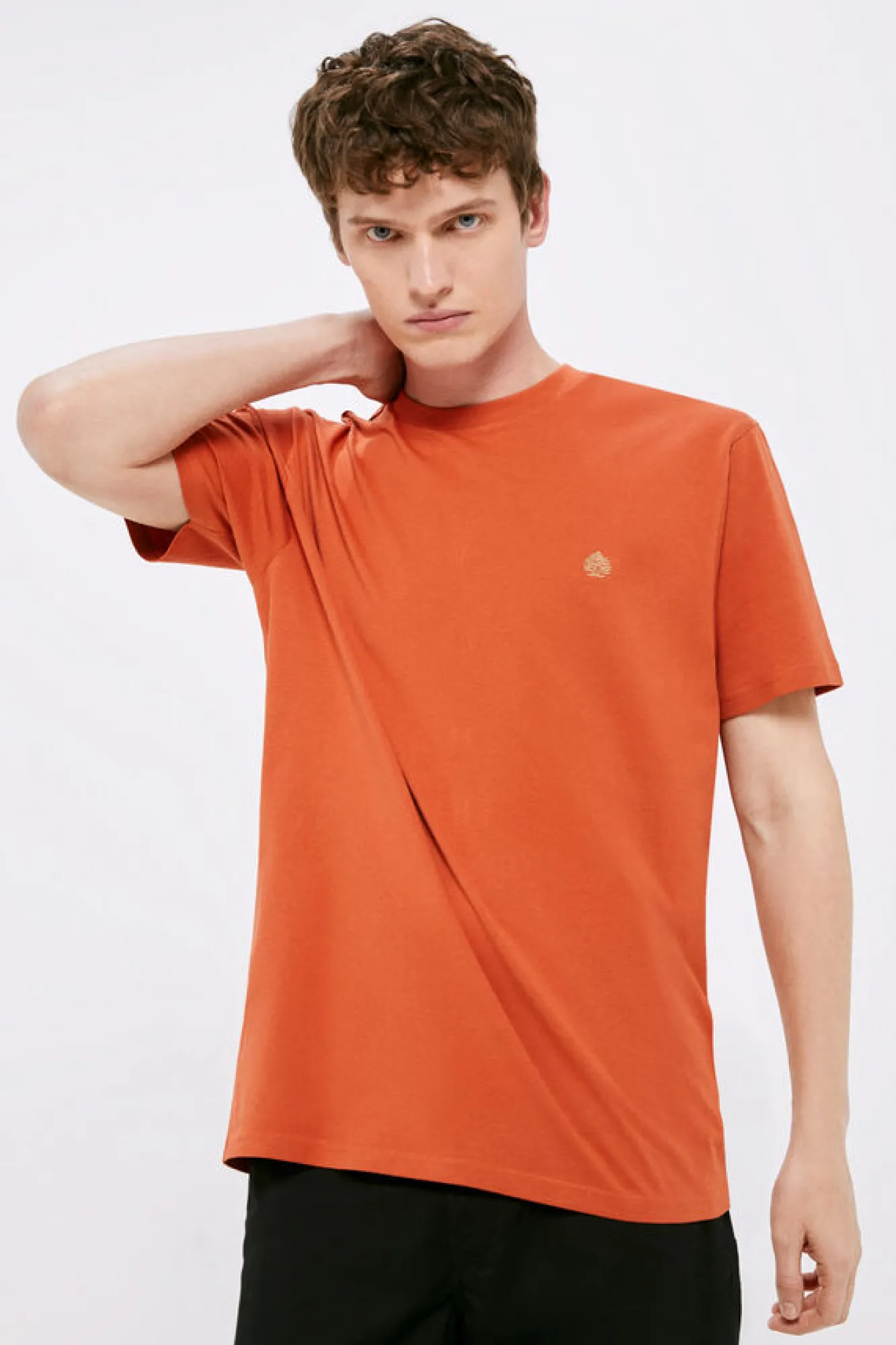 Springfield T-Shirt Basica Arvore Vermelho New