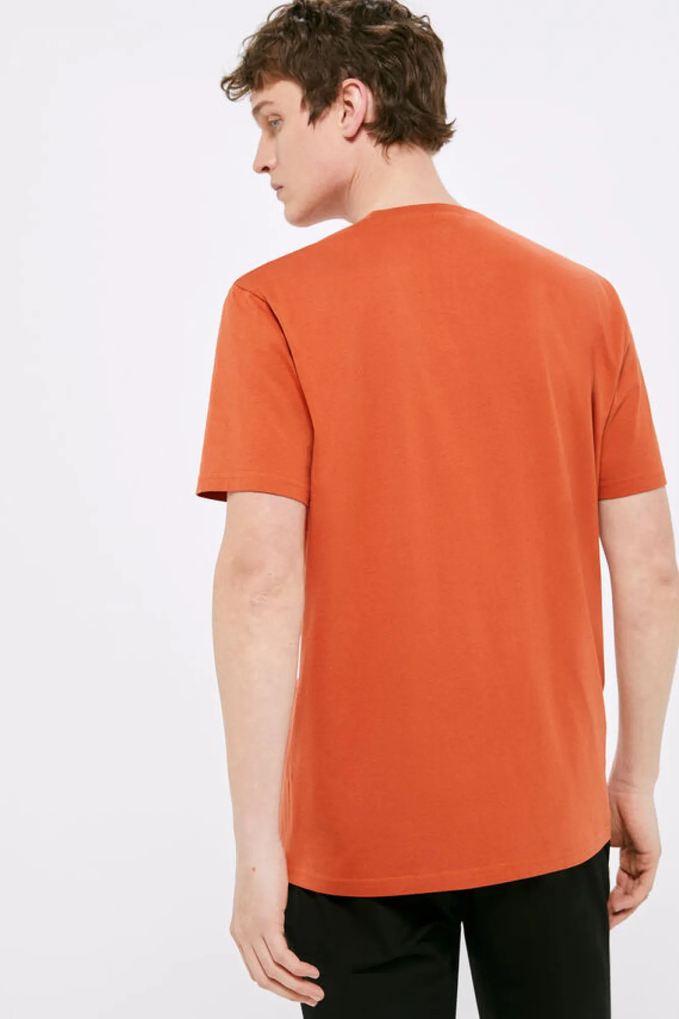 Springfield T-Shirt Basica Arvore Vermelho New