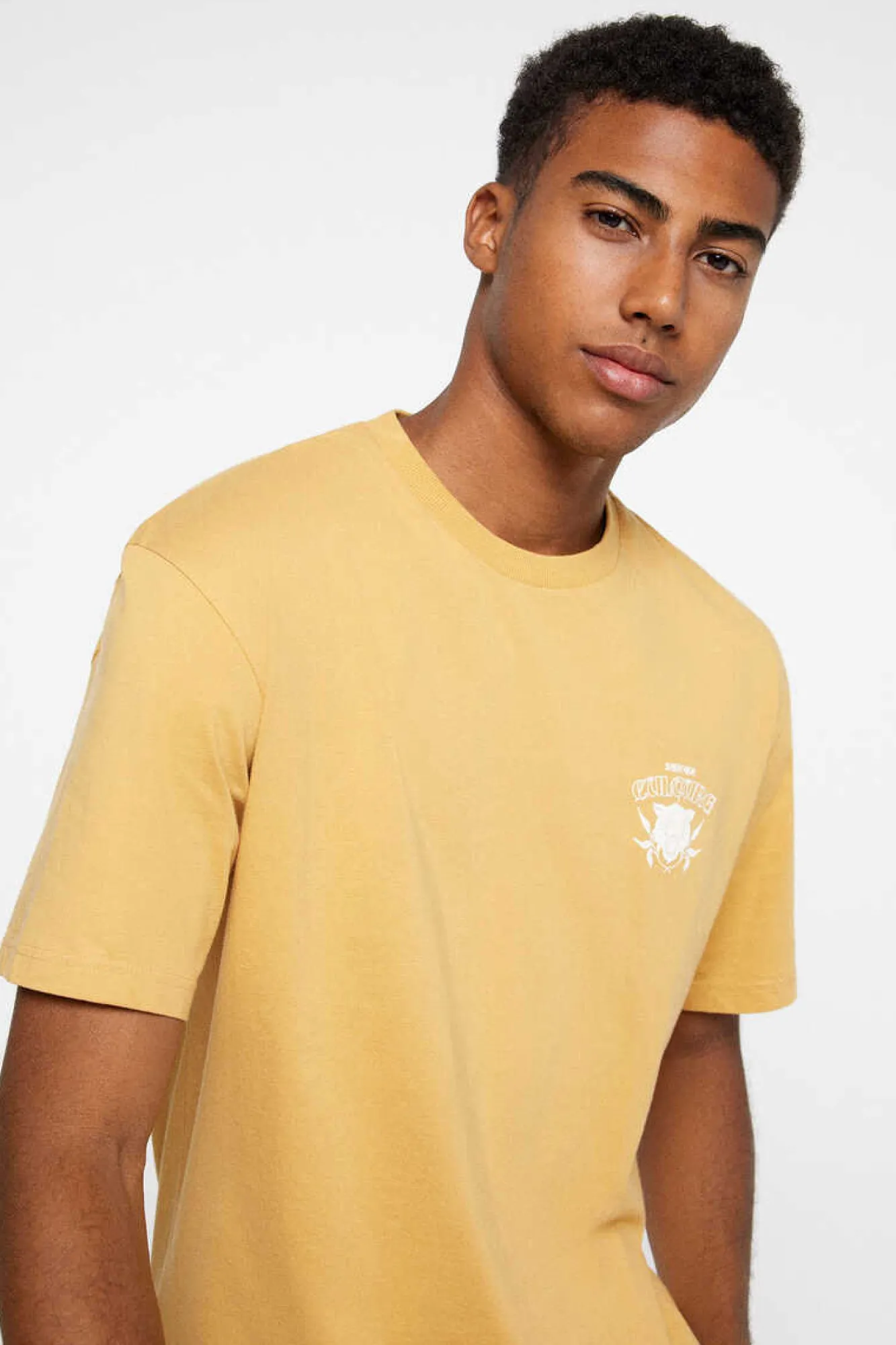 Springfield T-Shirt Culture Camelo Outlet