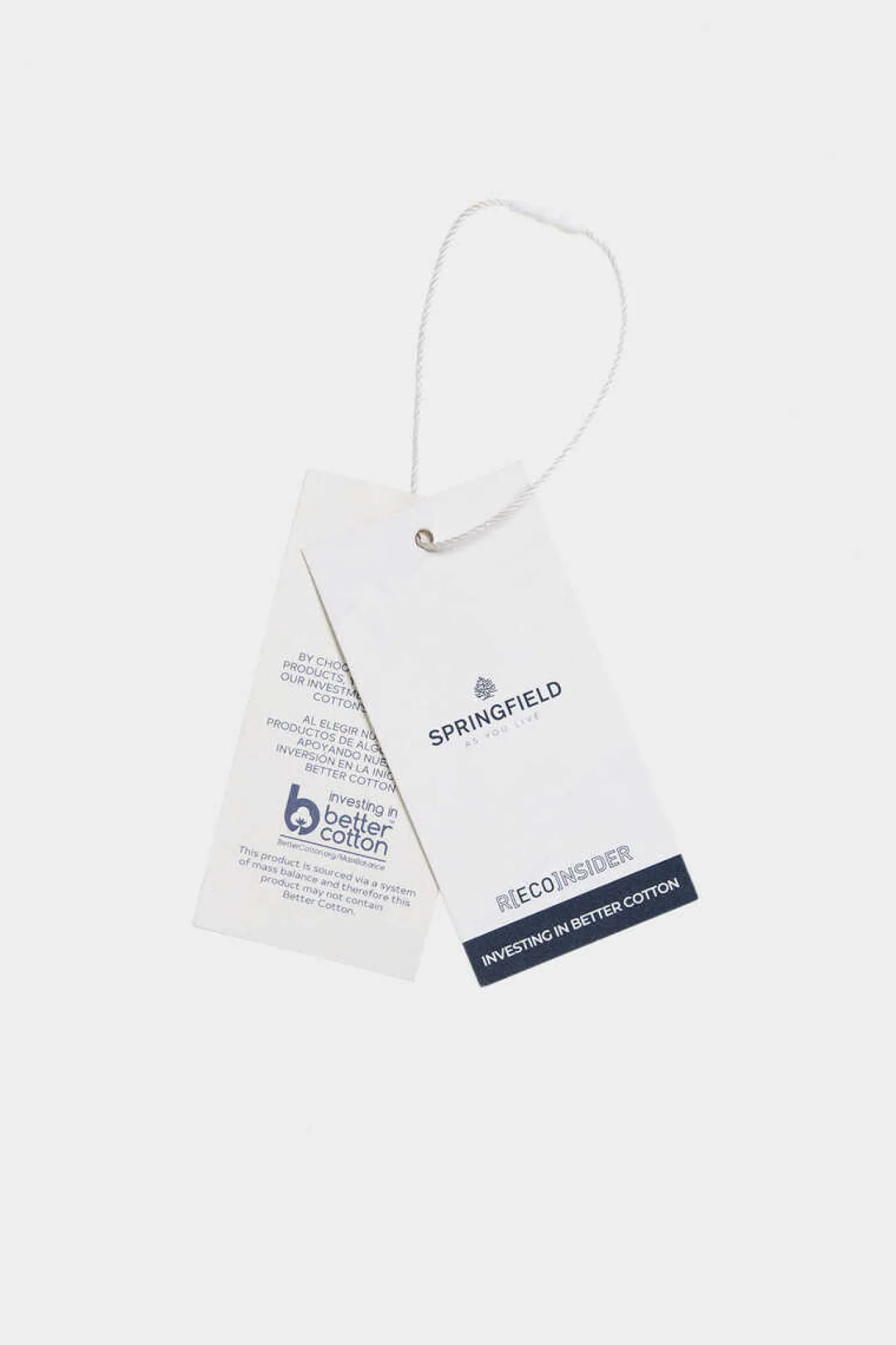 Springfield T-Shirt Culture Camelo Outlet