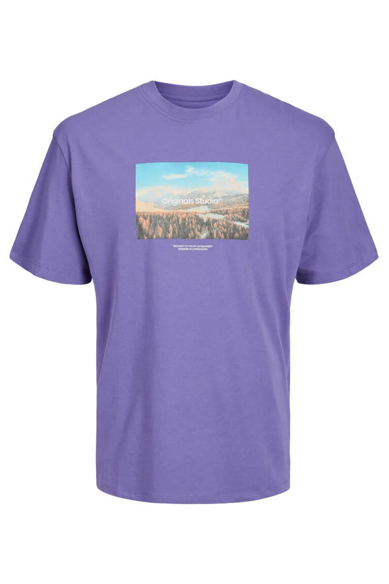 Jack & Jones T-Shirt De Manga Curta Print Foto Roxo Hot